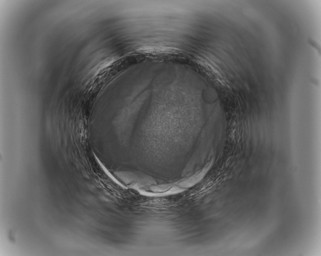 X0000096470966200802141654