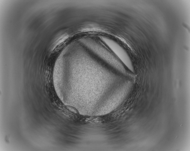 X0000096470967200802141654