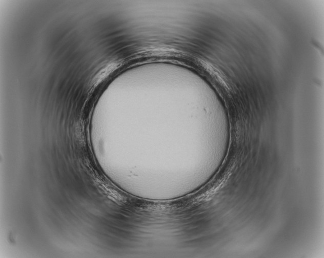 X0000096470970200802141654