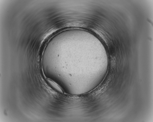 X0000096470971200802141654