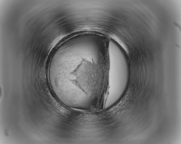 X0000096470972200802141654