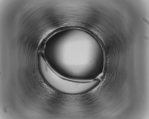 X0000096470973200802141654