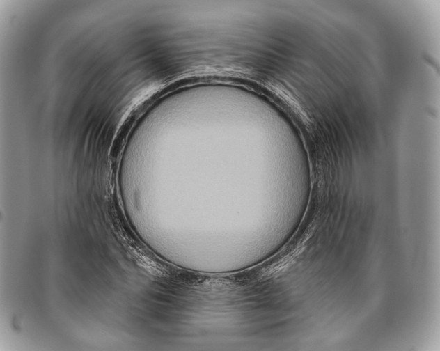 X0000096470974200802141654