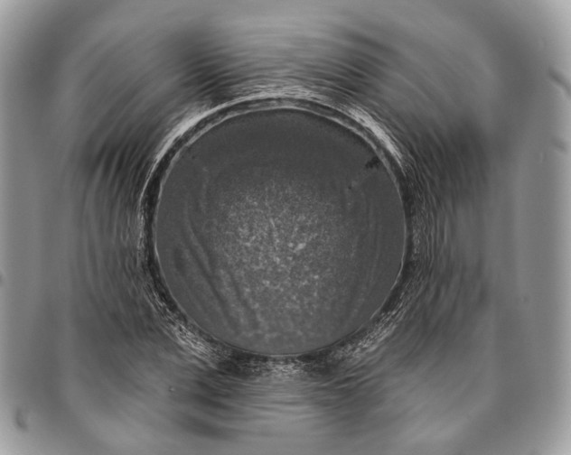 X0000096470975200802141654