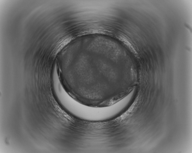 X0000096470977200802141654