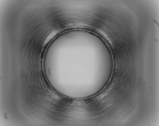 X0000096470978200802141654