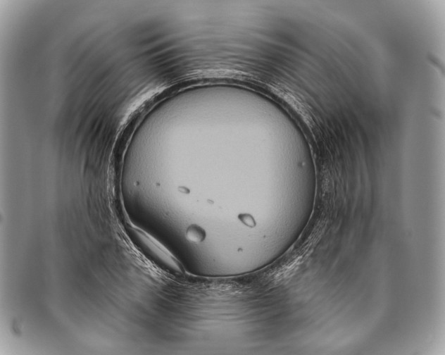 X0000096470979200802141654