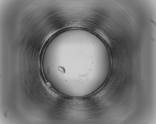 X0000096470980200802141654