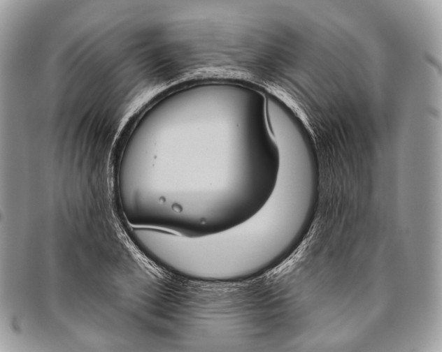 X0000096470981200802141654