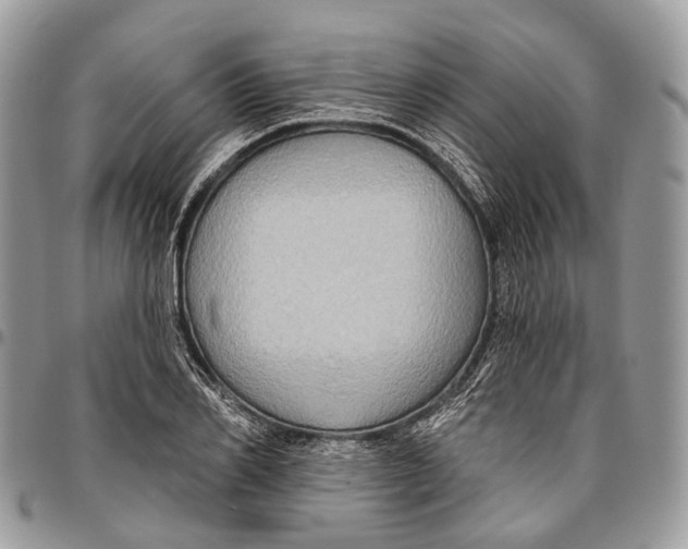 X0000096470982200802141654