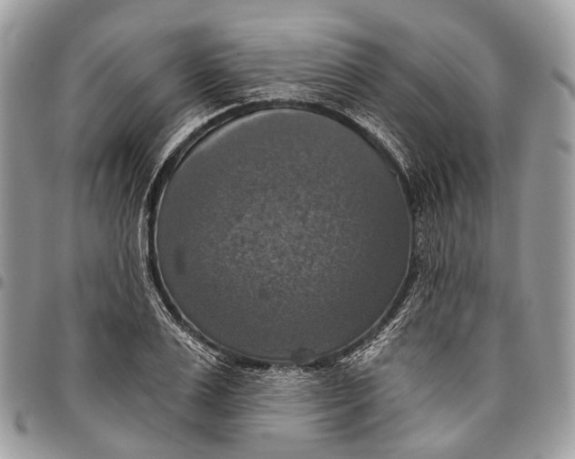 X0000096470983200802141653