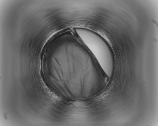 X0000096470984200802141653