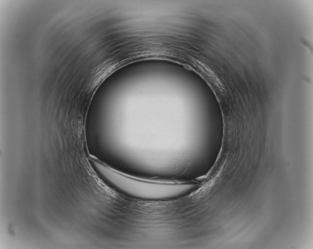 X0000096470985200802141653