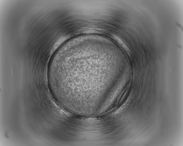 X0000096470986200802141653