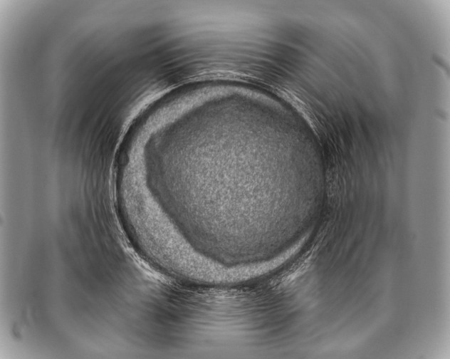 X0000096470987200802141653