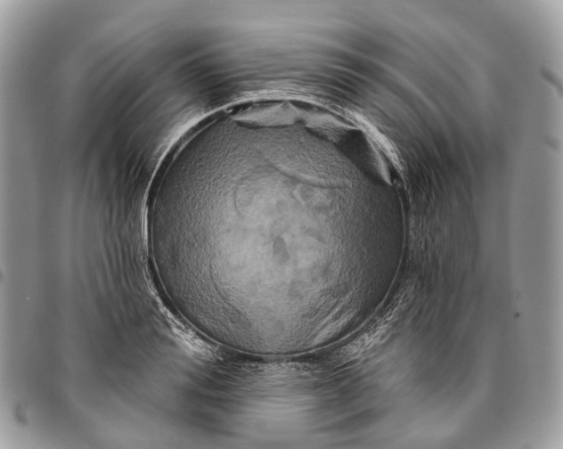 X0000096470988200802141653