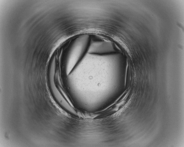 X0000096470989200802141653