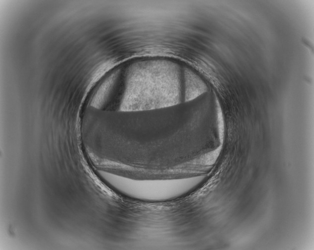 X0000096470990200802141653