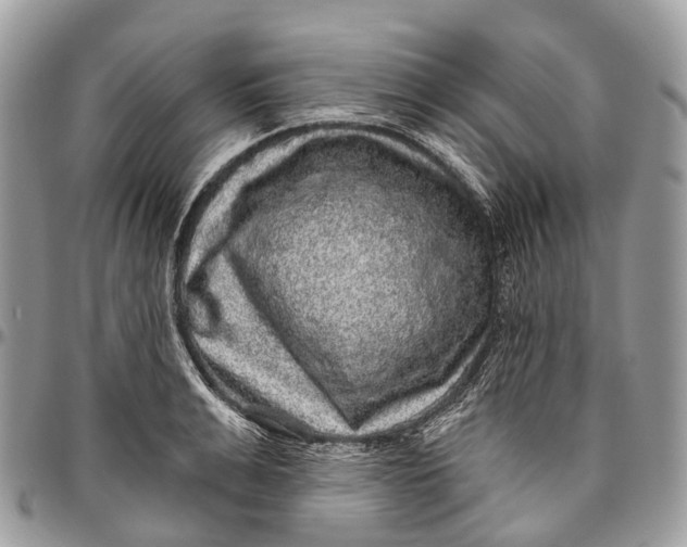 X0000096470991200802141653