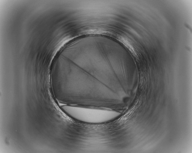 X0000096470992200802141653