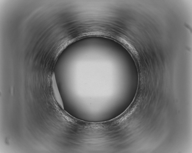 X0000096470993200802141653