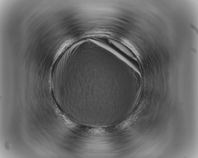 X0000096470994200802141653