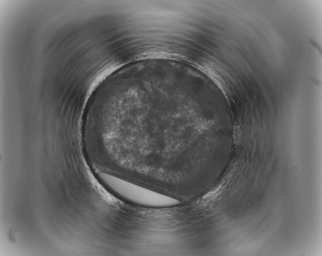 X0000096470995200802141653