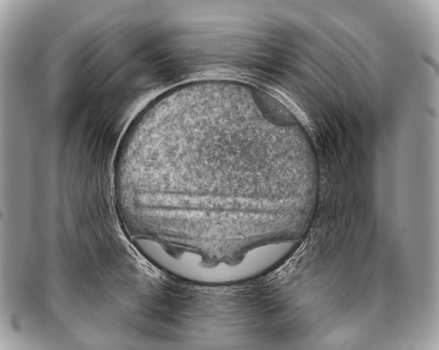 X0000096470996200802141653