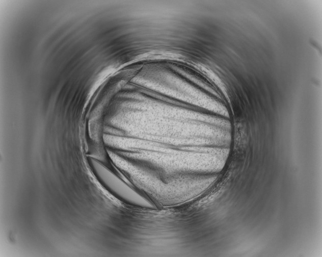 X0000096470997200802141653