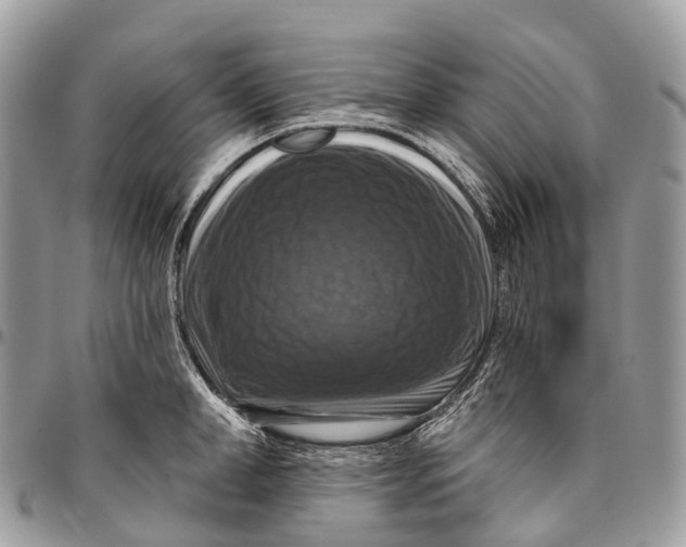 X0000096470998200802141653