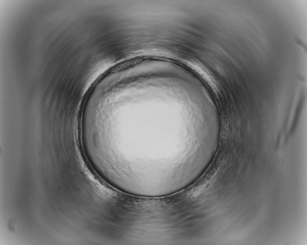 X0000096470999200802141653