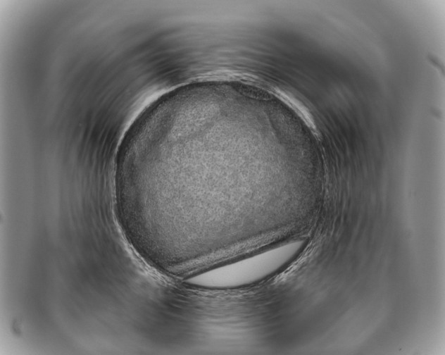 X0000096471000200802141653