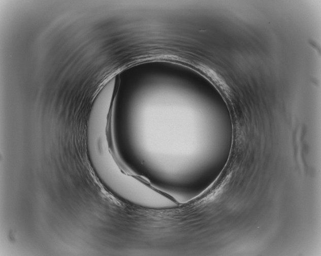 X0000096471001200802141653