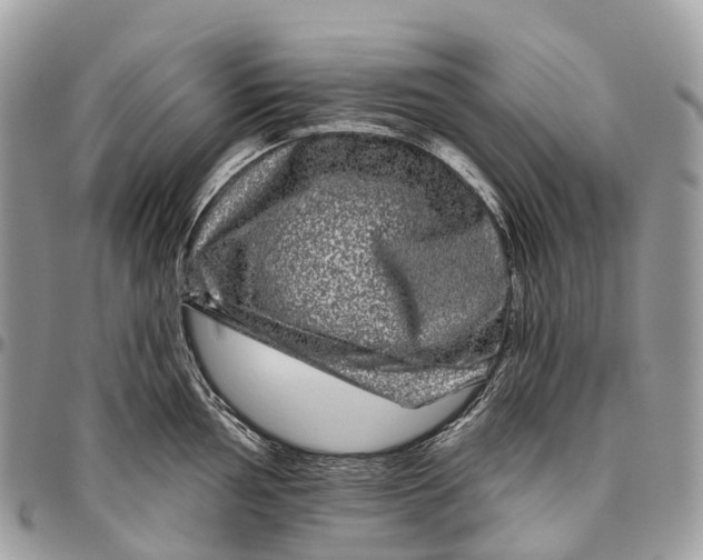 X0000096471002200802141653