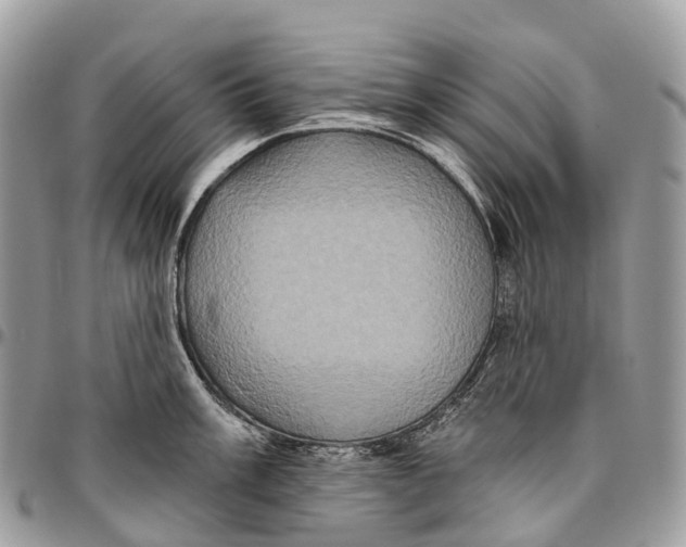 X0000096471003200802141653