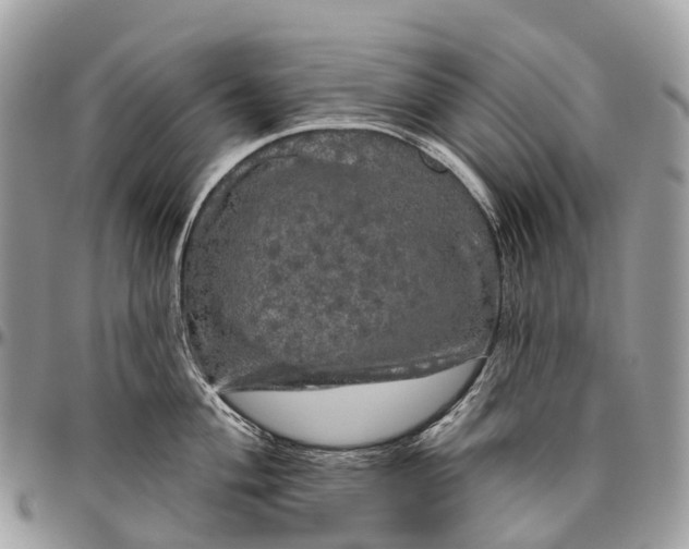 X0000096471004200802141653