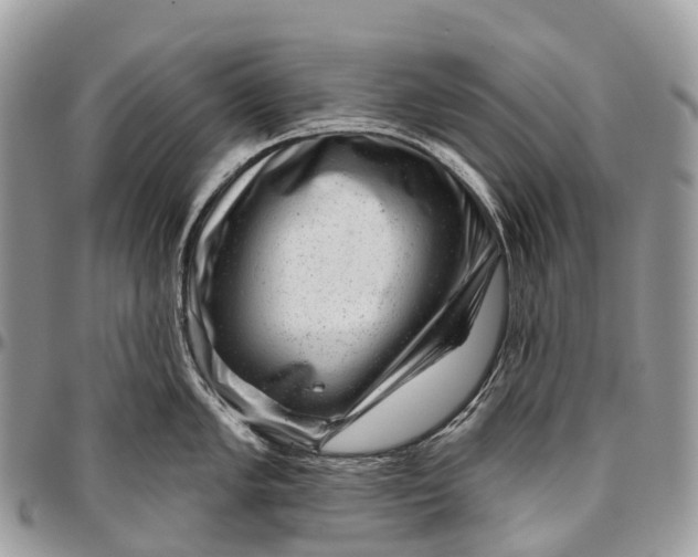 X0000096471005200802141653