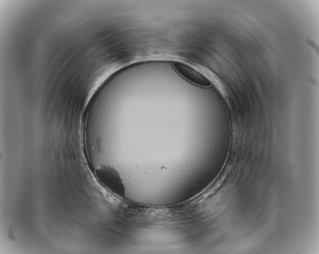 X0000096471006200802141653