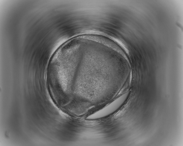 X0000096471007200802141653