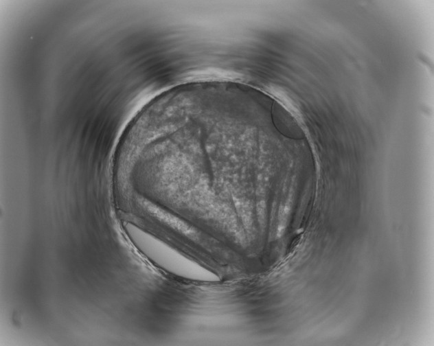 X0000096471008200802141653