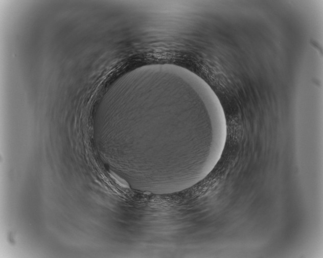 X0000096471009200802141652