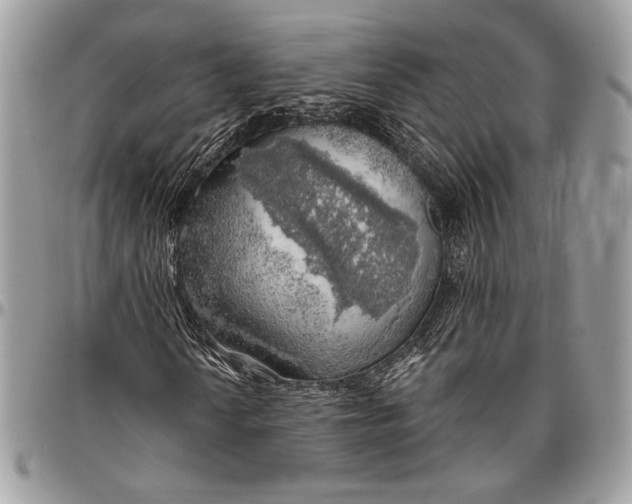 X0000096471010200802141653