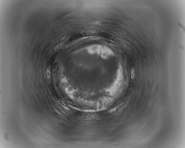 X0000096471011200802141653