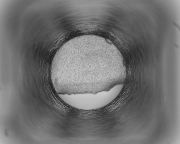 X0000096471012200802141653