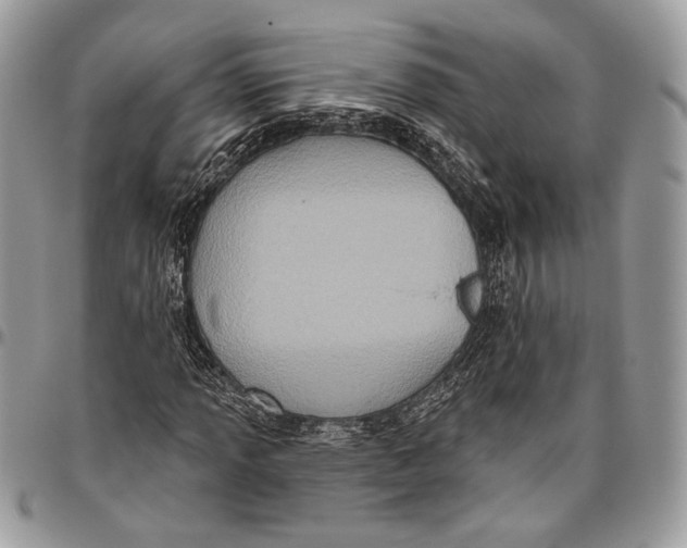 X0000096471013200802141653