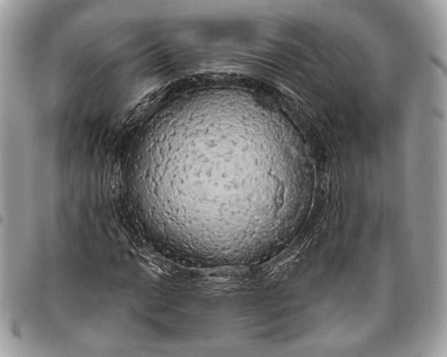 X0000096471014200802141653