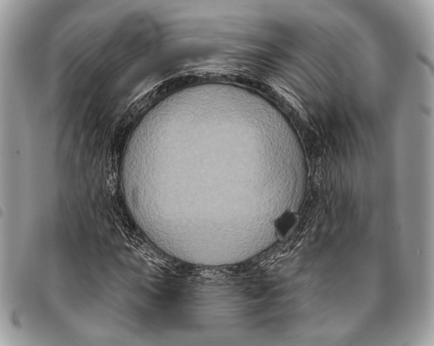 X0000096471015200802141653