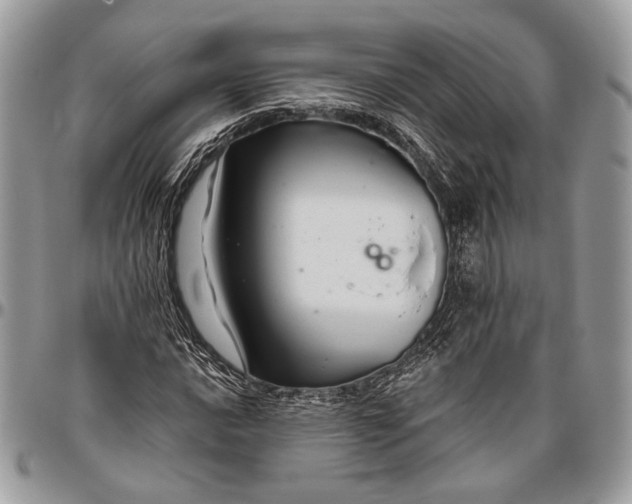 X0000096471016200802141653