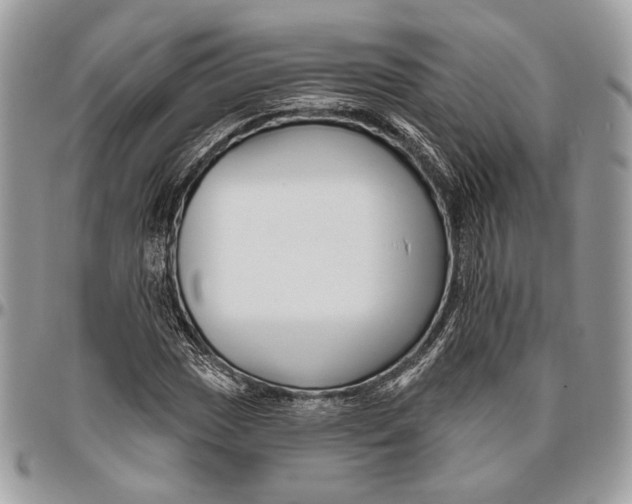 X0000096471017200802141653