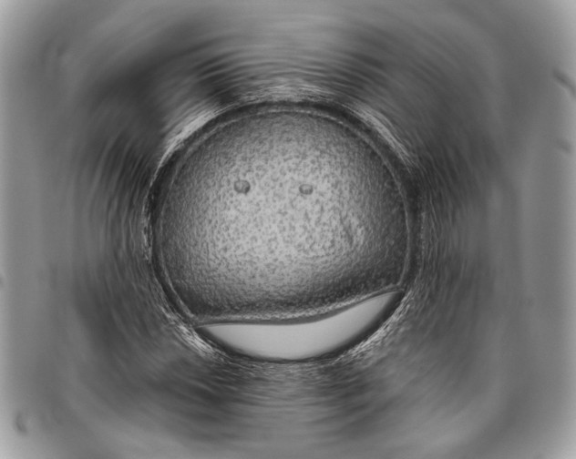 X0000096471018200802141653